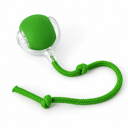Interactive Cat Ball Toy - Bite Resistant Chew Toy for Pets