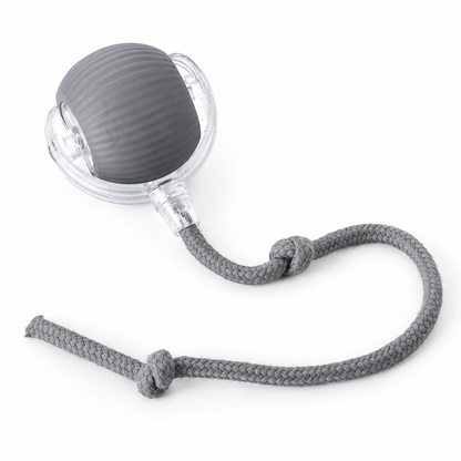 Interactive Cat Ball Toy - Bite Resistant Chew Toy for Pets