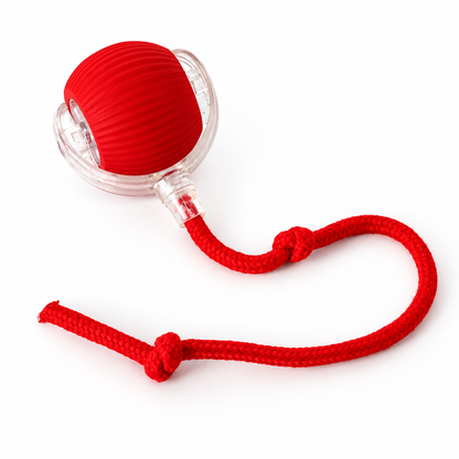 Interactive Cat Ball Toy - Bite Resistant Chew Toy for Pets